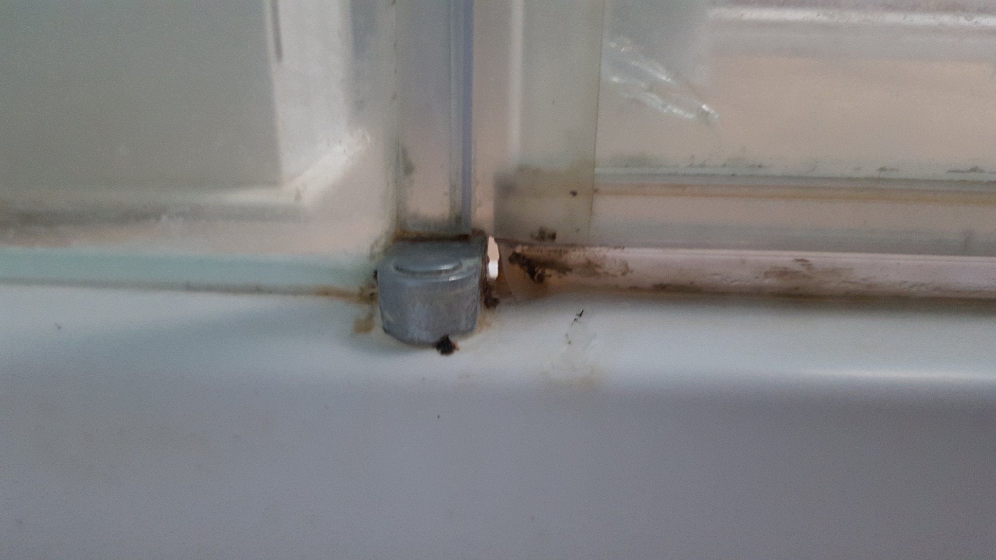 Shower gasket bottom of door opening