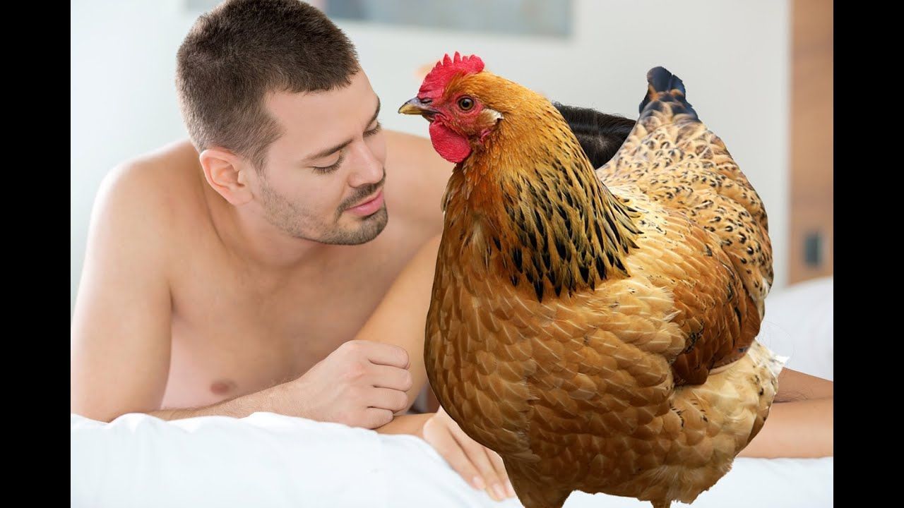 best of Has with chicken sex Man
