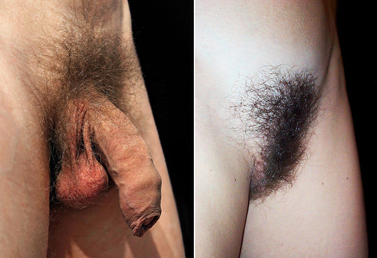 best of Porn shave Pubic hair