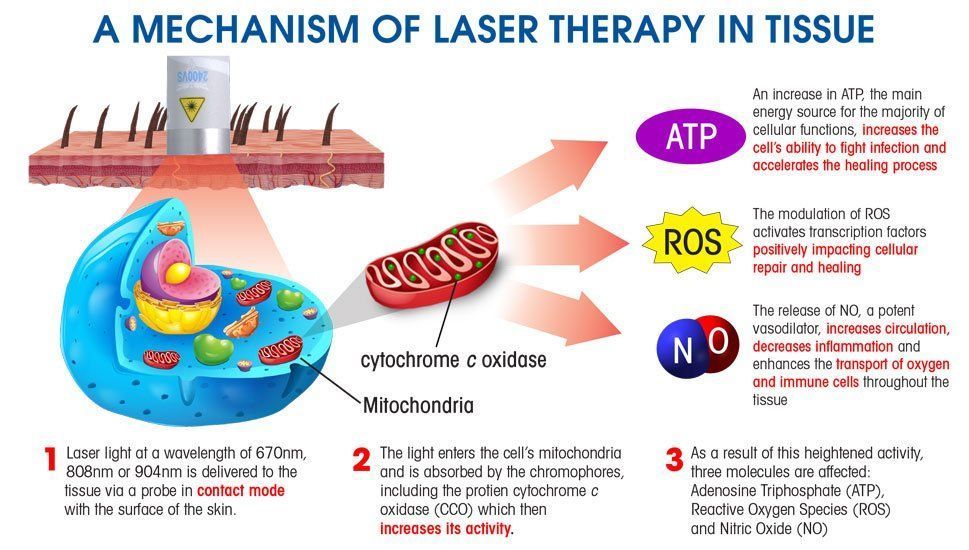 Diamond reccomend Laser penetrate skin