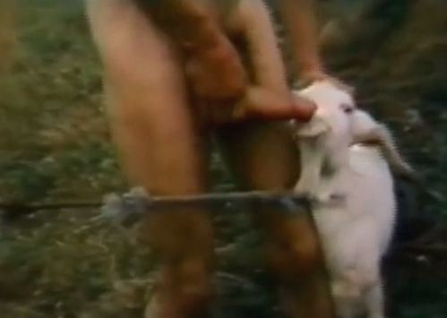 best of Downlod Goat sex videos girls and