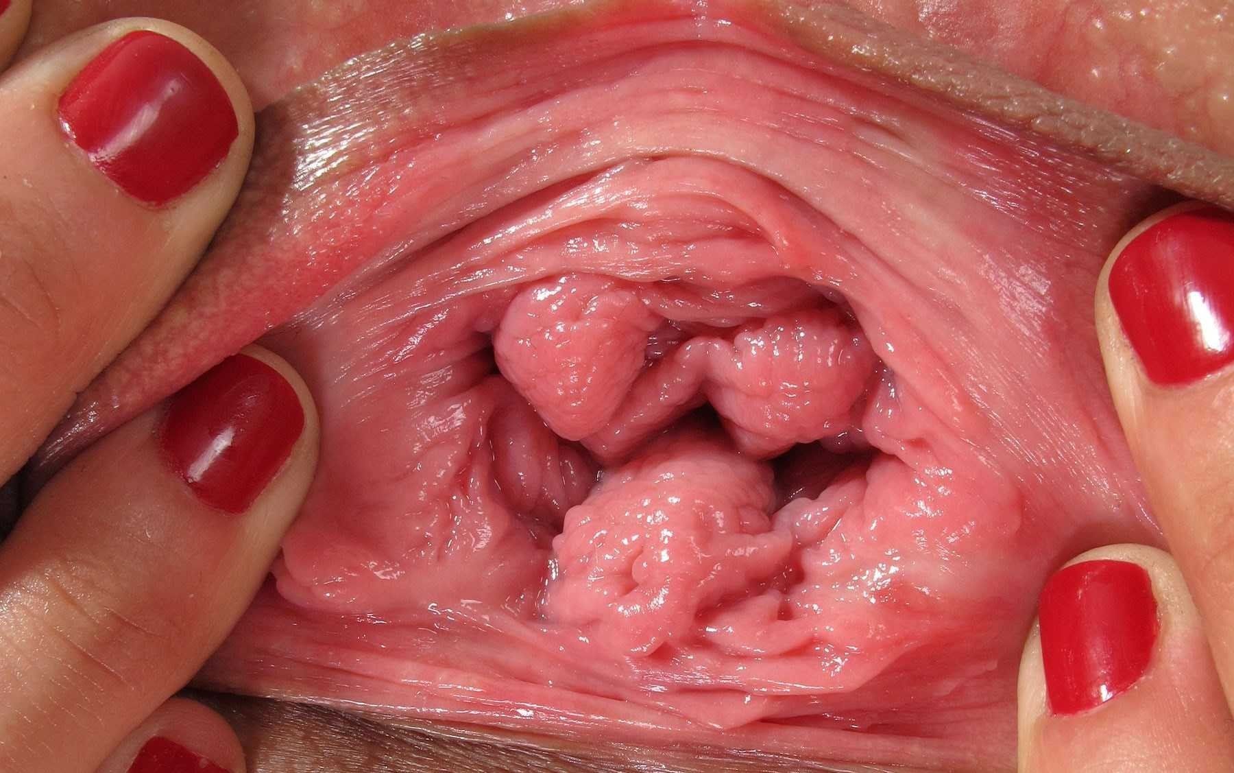 best of Long of Free clitoris closeup pictures