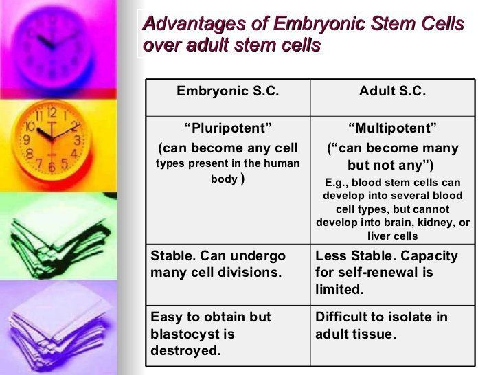 best of Stem cure Adult cells