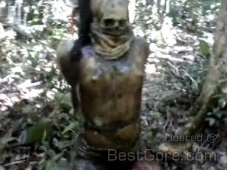 best of Fucked tree Girl by