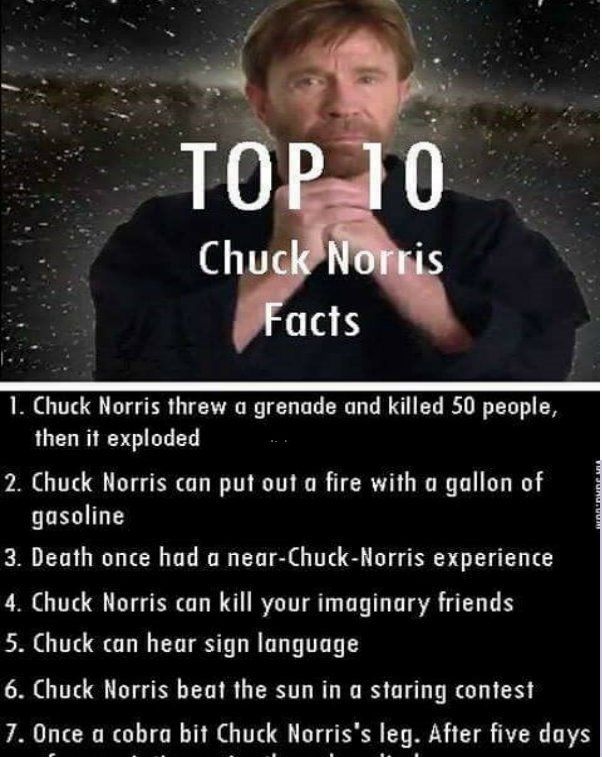 Chuck norriss jokes