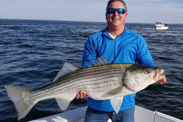 Yellowjacket reccomend Stripper fishing chesapeake bay report
