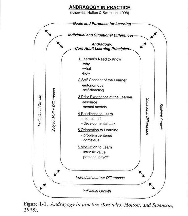 Studies adult learning styles