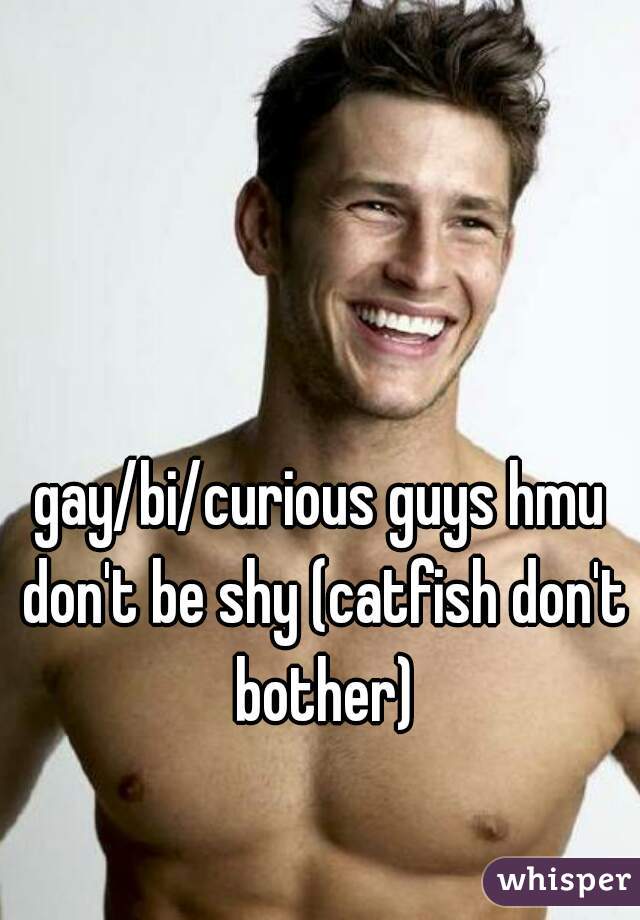 Jail B. reccomend Don t be shy gay