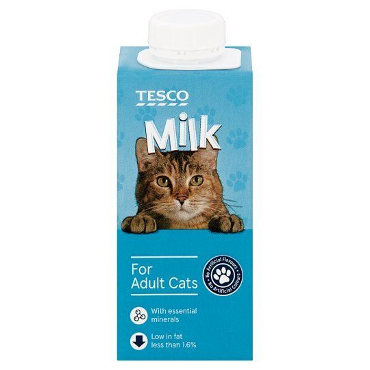 Adult cat milk