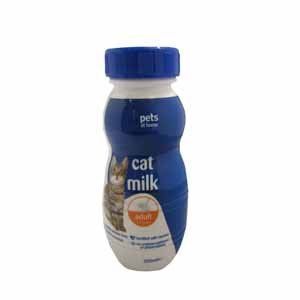 best of Milk Adult cat