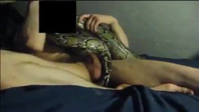 best of Snake sex Videos having of with