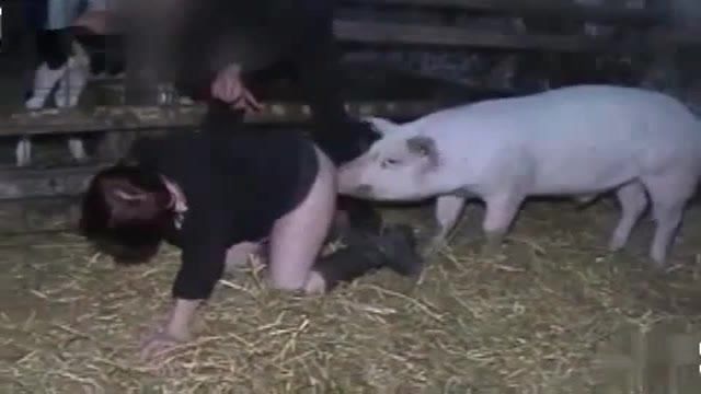 Tator T. reccomend Dirty fuck pig slut