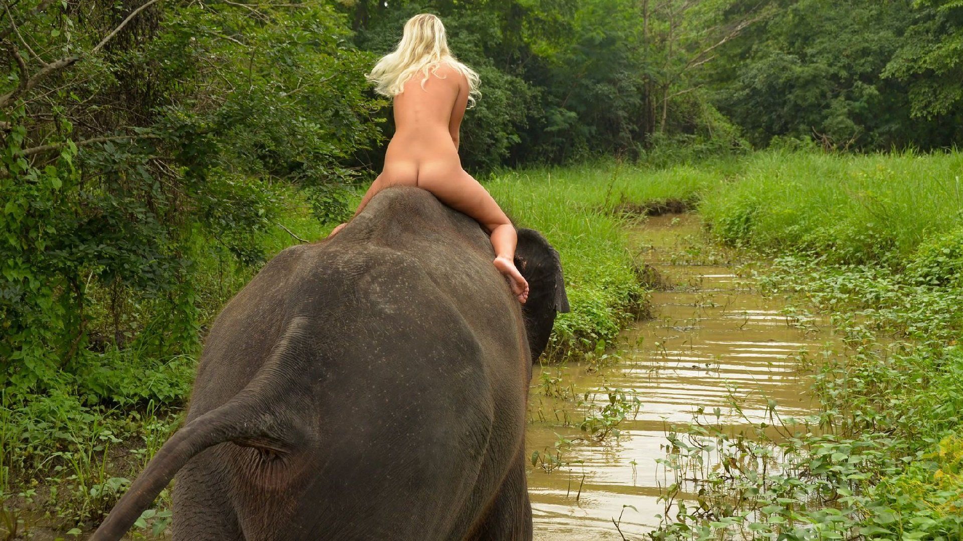 Sexy Girl And Elephant ❤️ Best adult photos at thesexy.es picture image