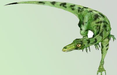 best of Facts Eoraptor fun