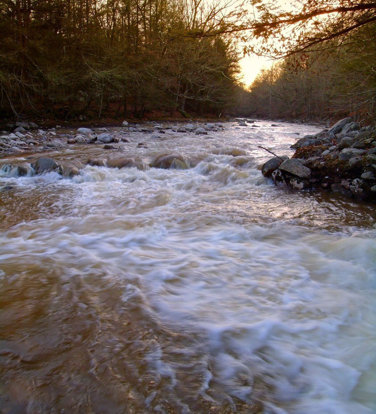 Flat waters lick creek chesapeakes
