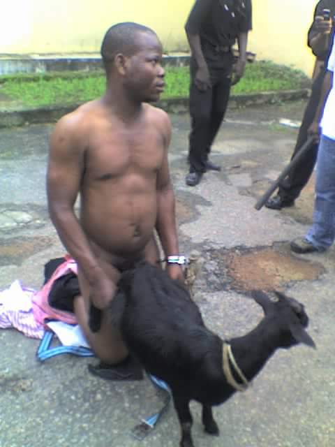   the real  nude   photos   goat  ❤️‍