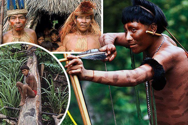 Amazon Tribal Women Tribe Girls Nude