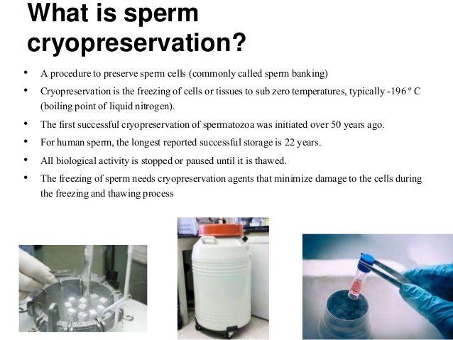Process to store sperm
