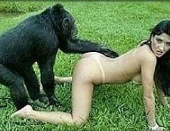 Barrel reccomend Sex in monkey porn